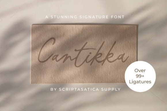 Cantikka: A Designer’s Honest Review for Real-World Branding