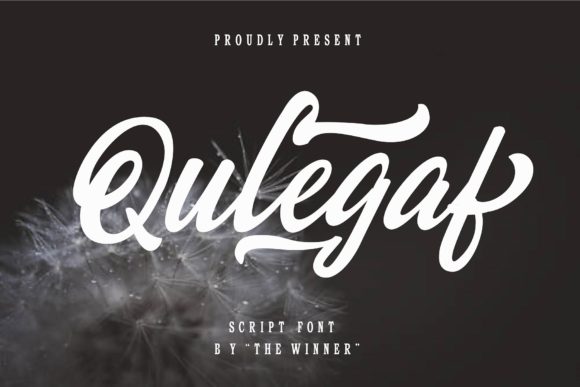 Qulegaf Script Font Review: Elevate Your Brand Identity
