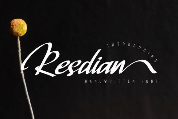 Resdian Script Font Review: Elevate Your Brand Identity