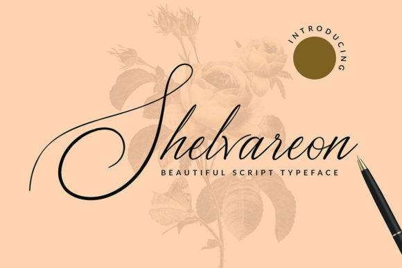 Shelvareon Typeface Review: Elevating Script Fonts for Digital Campaigns
